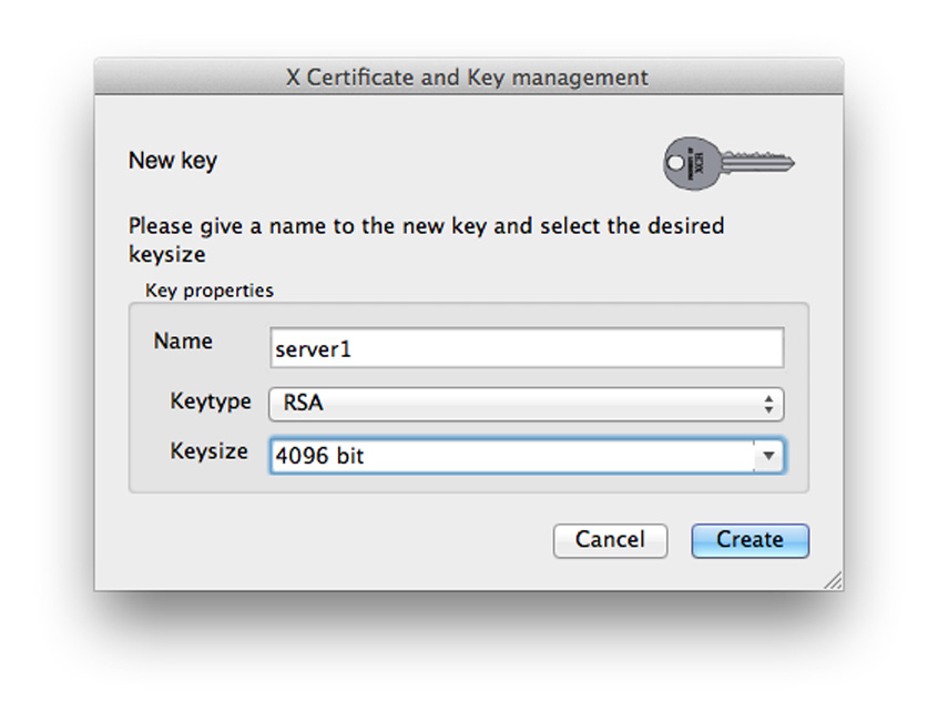 Ssl key. Публичный ключ SSL. OPENSSL genpkey -algorithm RSA OPENSSL genrsa.