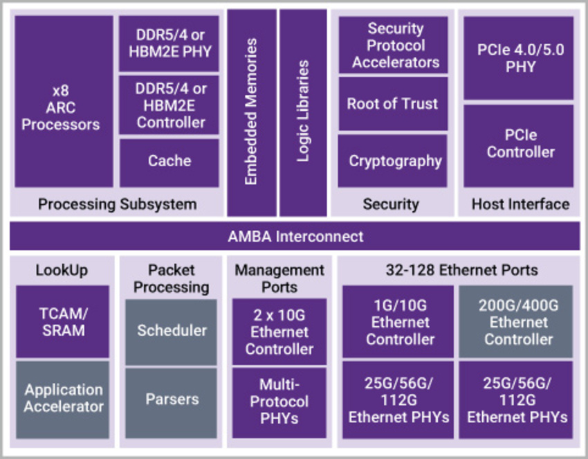 DesignWare IP for Cloud Computing Networking